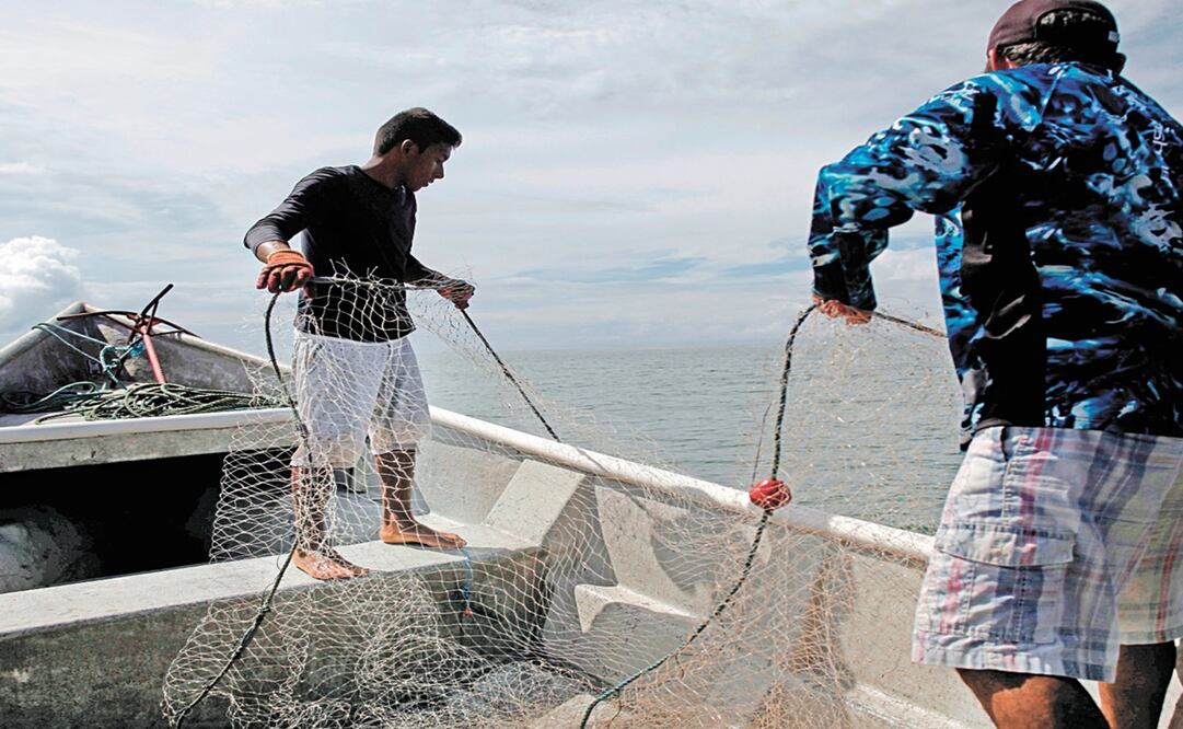 Foto: Archivo/EL UNIVERSAL