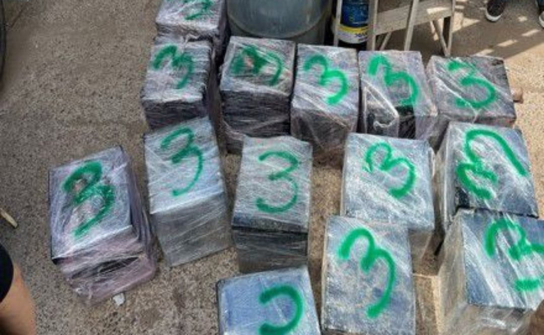 Lo asegurado quedó a disposición del Ministerio Pública Federal, quien inició la carpeta de investigación. Foto: Especiales