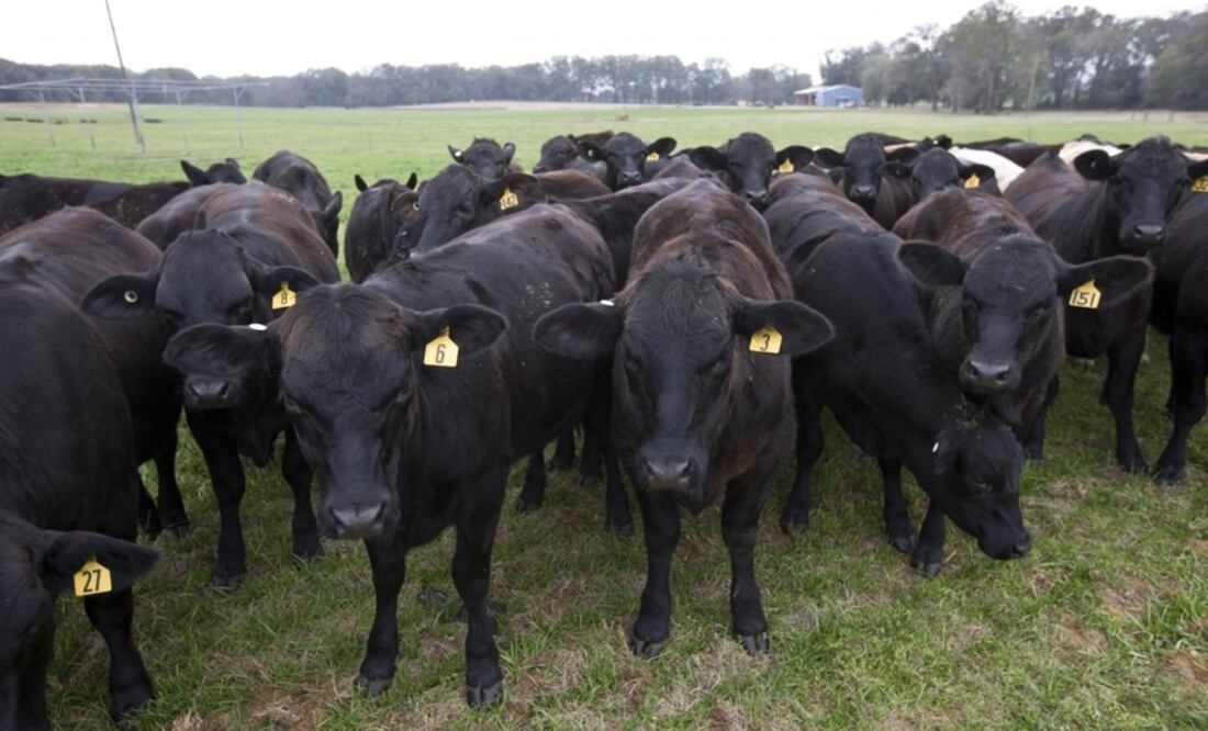 Foto: RALUCA MATEESCU vía Europa Press