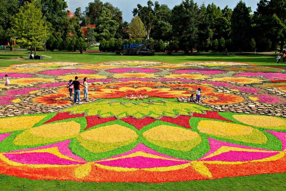 Se podrán apreciar más de 40 plantas nativas de México. (Foto: Cortesía Xochitla)