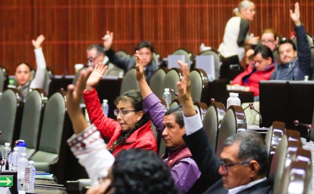Foto: Canal del Congreso