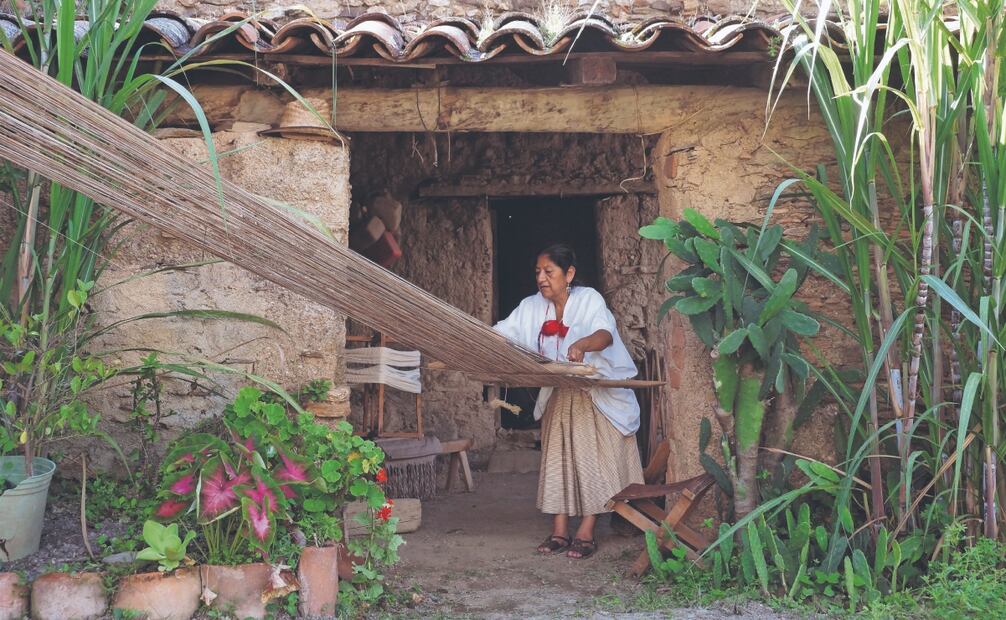 Eufrasia prepara el telar de cintura con la ayuda de su hijo, el marco de madera es atado a una rama de un árbol, mientras el otro extremo es sostenido por la artesana. Fotos: de Edwin Hernández