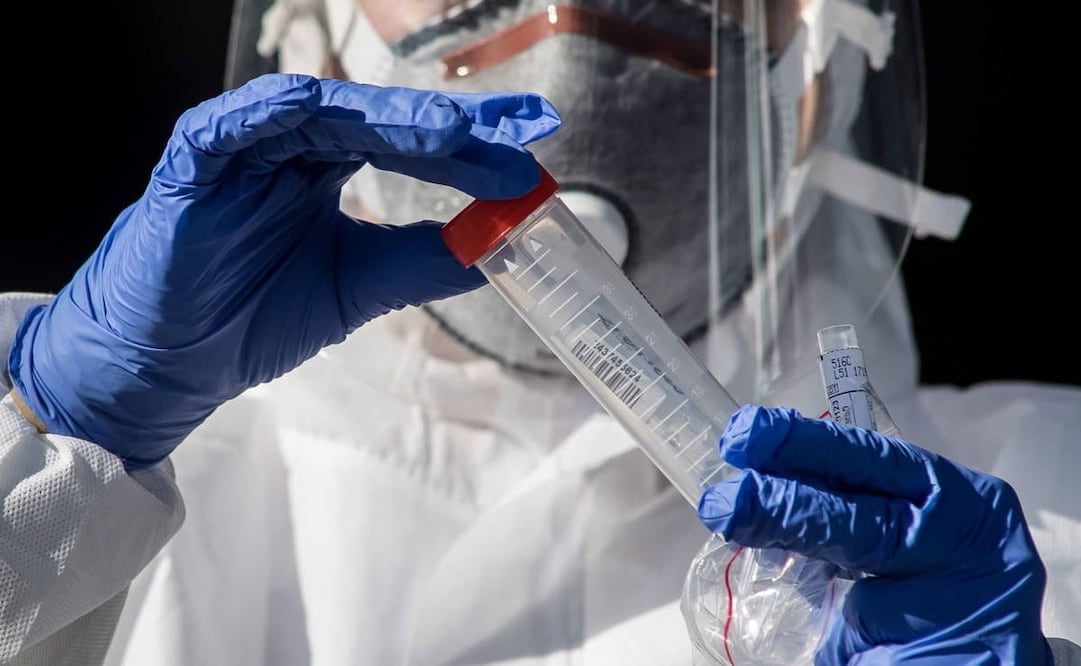 Foto: Archivo/EL UNIVERSAL