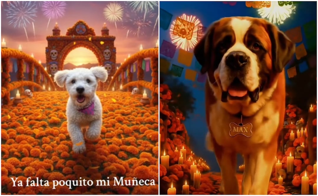 Guía paso a paso para crear el video de tu mascota con IA. Foto: Captura de Pantalla