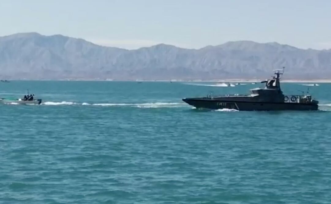 Foto: Twitter @PROFEPA_Mx