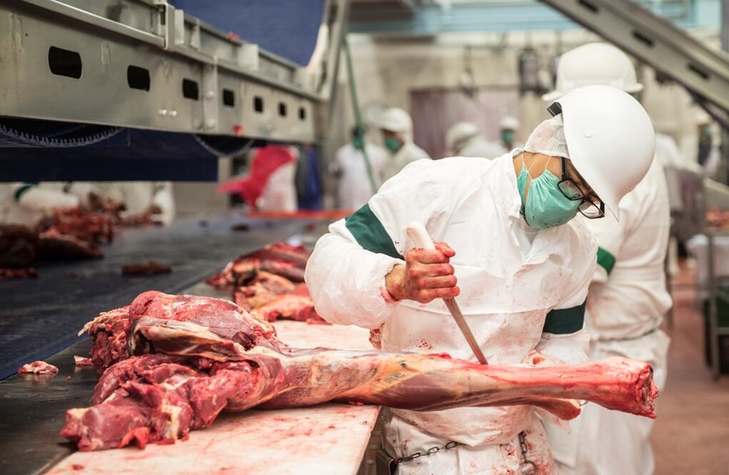 Casi 5% de la carne de res consumida en Estados Unidos procede de Australia. Foto: Archivo/El Universal
