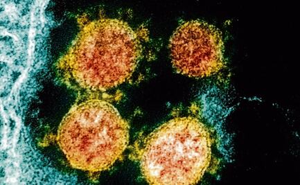 Crean el mapa genómico más preciso y completo del coronavirus SARS-CoV-2