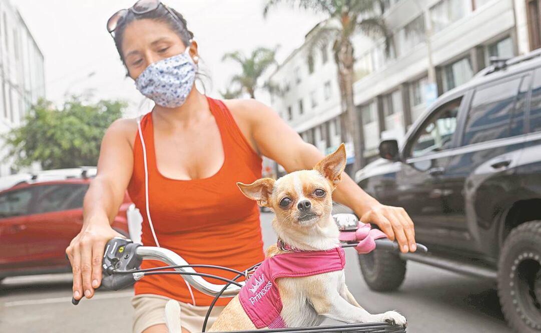 Convivir con las mascotas hizo a los dueños más conscientes de sus necesidades, dijo Petco. Foto: Archivo/ El Universal.