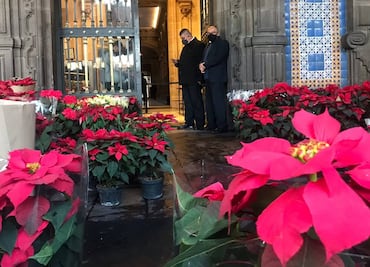 Manifestaciones hoy en CDMX: Protestan productores de Nochebuenas y extrabajadores de la Ruta 100