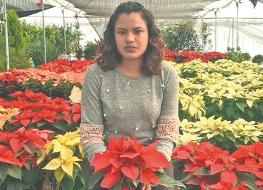 Productores rematan sus Nochebuenas