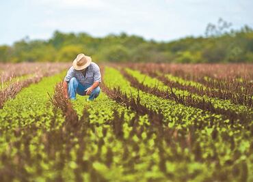 Campo, preso de una embestida por políticas públicas: CNA