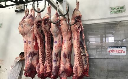 Producción extensiva de ganado afecta a la salud animal y humana