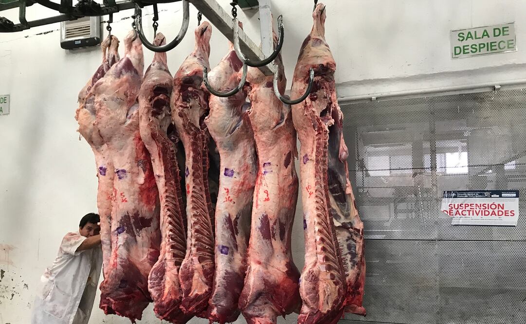 Foto: Archivo El Universal