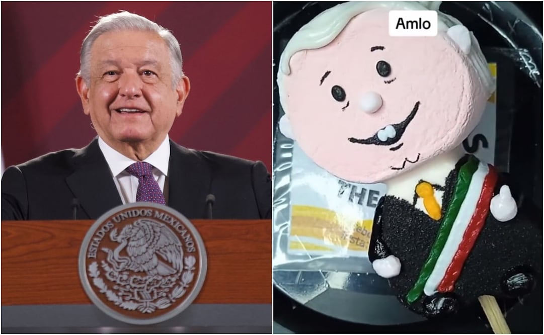 El video cuenta con 534 mil reproducciones, más de 65 mil “likes” y con diversos comentarios por parte de usuarios de la red social. Foto: TikTok. @bomboletastherobs