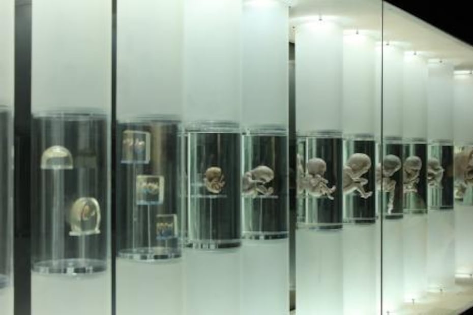 El suicidio de un médico que no encontró cura para el amor