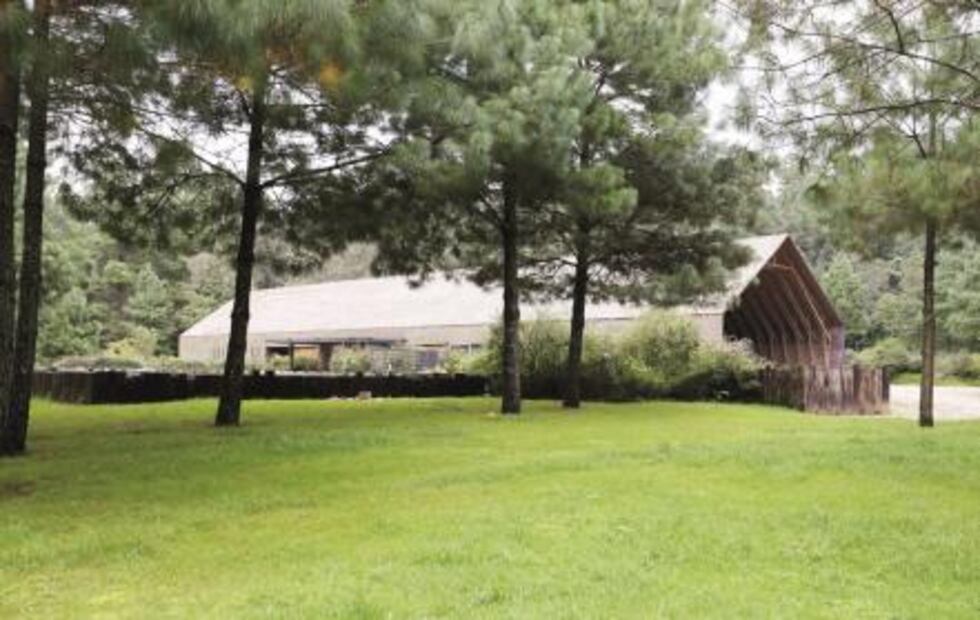 Estos son los bienes incautados a Javier Duarte