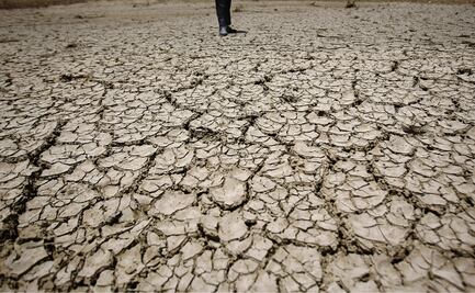 Desertificación en México se debe al fenómeno la celda de Hadley: experto