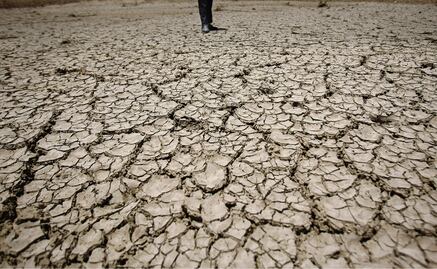 Desertificación en México se debe al fenómeno la celda de Hadley: experto
