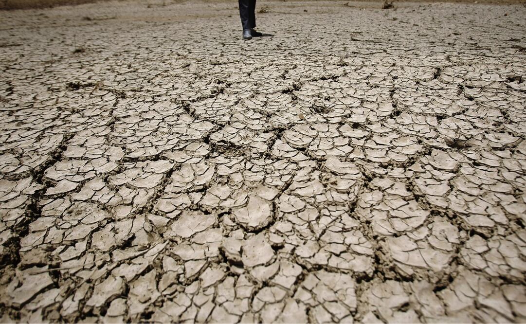 Foto: AP Photo/Hani Mohammed, archivo