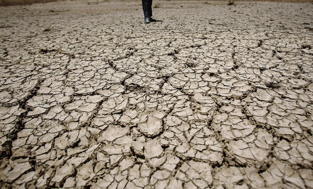 Foto: AP Photo/Hani Mohammed, archivo