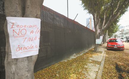 MH pide a embajada de EU desistir  de más derribo de árboles