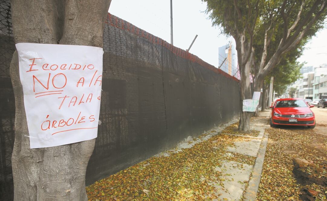 Ante el derrumbe de árboles por los trabajos en la Embajada de Estados Unidos, vecinos colocaron letreros con frases como “No a la tala”.