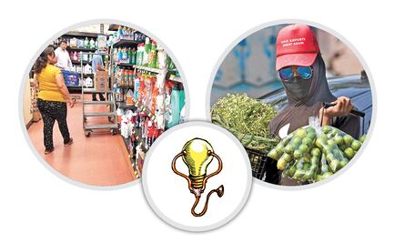 El Foco. Remedios contra la plaga que no son tan efectivos como dicen