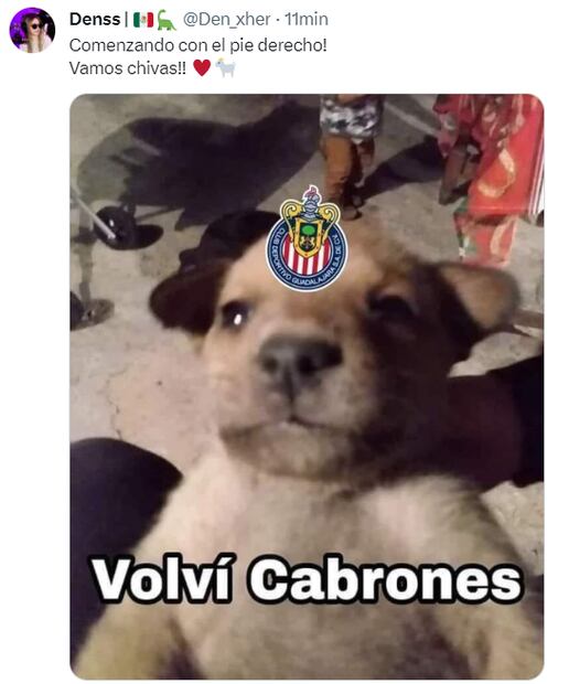 Chivas protagoniza los mejores memes tras ganarle a León