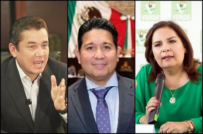 Buscan tres la dirigencia nacional del Partido Verde