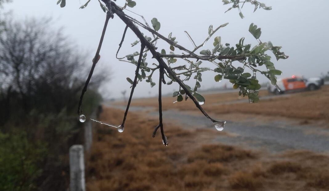 Frío en México. Foto: Especial