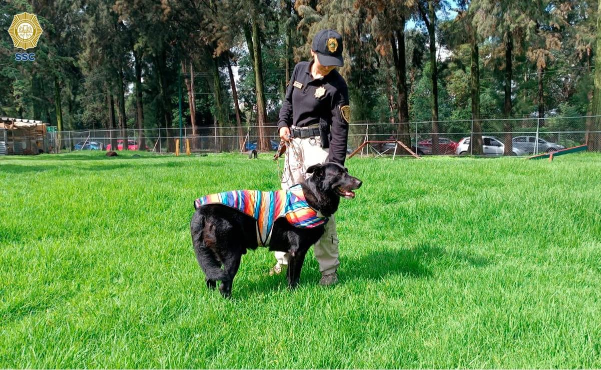 El lomito fue llevado a las instalaciones de la corporación, ubicadas en la alcaldía Xochimilco, para su revisión a profundidad. Foto: SSC