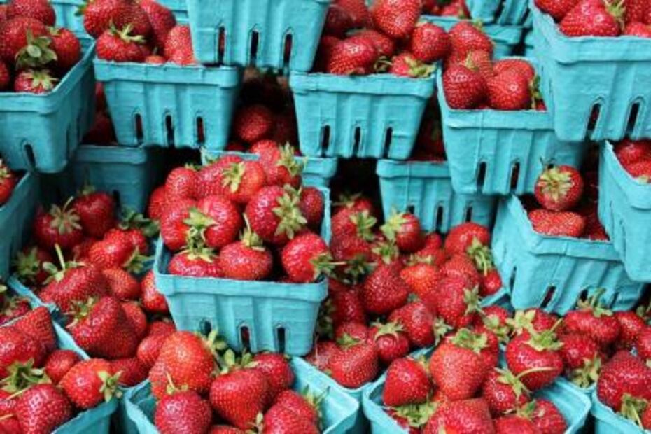 ¿Cómo desinfectar perfectamente las fresas?