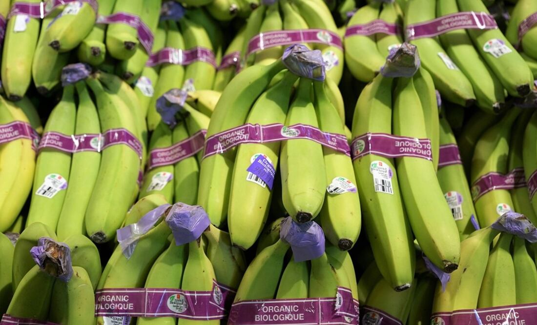 El cáncer de colón es uno de los más frecuentes en México / Foto: Pixabay