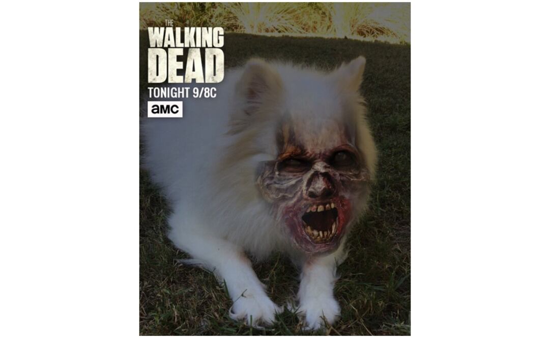 (Foto: Tomada de @radiomuse) 