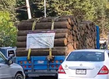 Detectan camión con madera en Jilotzingo; no tiene autorización, afirma alcaldesa