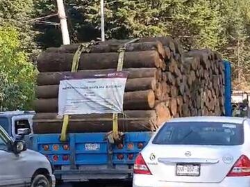 Detectan camión con madera en Jilotzingo; no tiene autorización, afirma alcaldesa