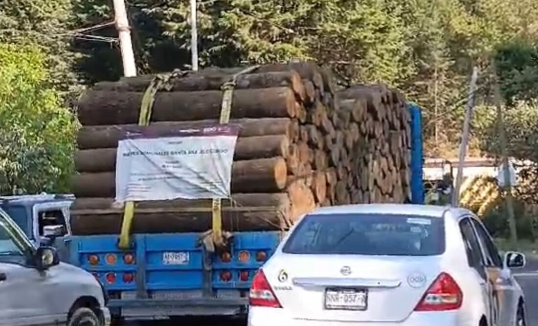 Tala ilegal en Jilotzingo. Foto: Rebeca Jiménez