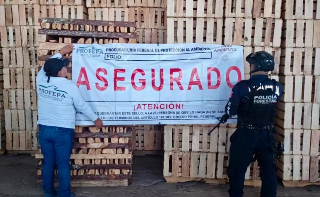 Foto: Especial