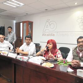 Álvaro Obregón invertirá 6 mdd en escaleras eléctricas 