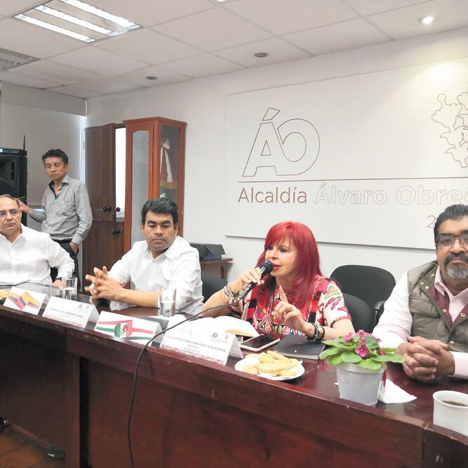 La alcaldesa de Álvaro Obregón, Layda Sansores, informó que se realizan diversos estudios para la instalación de las escaleras en la colonia Araña. EDUARDO HERNÁNDEZ. EL UNIVERSAL
