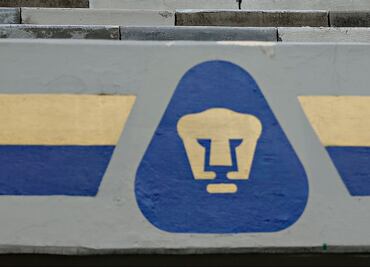 Los Pumas sí podrían cambiar de técnico