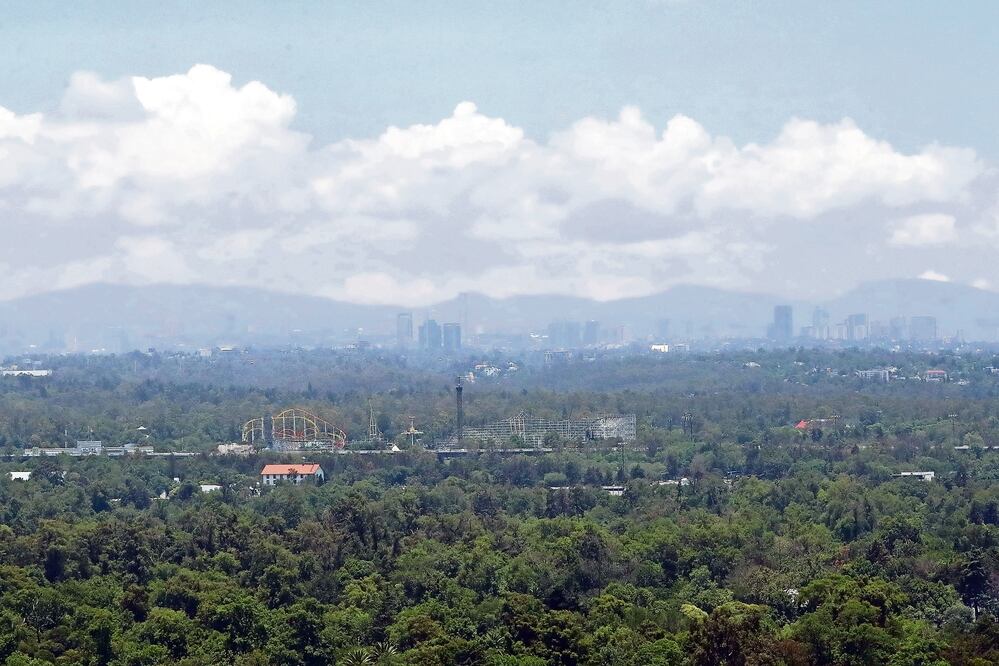 Fotografía: Archivo 