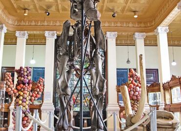 El Museo de Geología recibe arte contemporáneo con Earth-Body