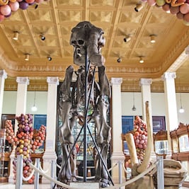 El Museo de Geología recibe arte contemporáneo con Earth-Body