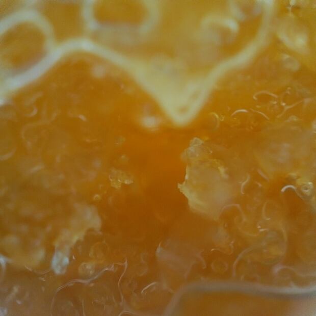 OPPO Reno7: el smartphone con una lente microscópica