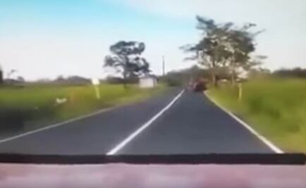 Indigna video de abandono de perros en Tabasco 