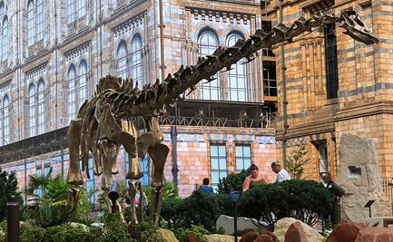 El Museo de Historia Natural de Londres transforma su entrada en una lección de historia