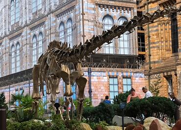 El Museo de Historia Natural de Londres transforma su entrada en una lección de historia