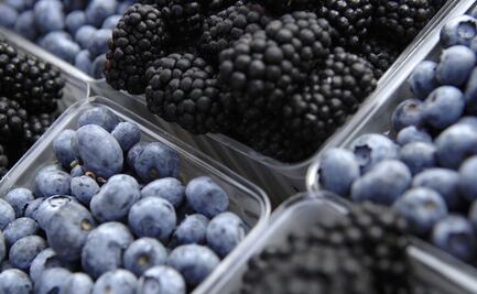 Sector agroalimentario confía en que gobierno defenderá hortalizas y berries mexicanas de amenazas de EU: CNA