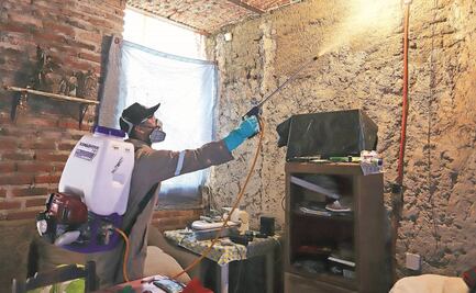 Jalisco padece no sólo por Covid-19, sino también por dengue